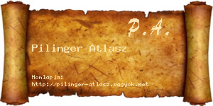 Pilinger Atlasz névjegykártya